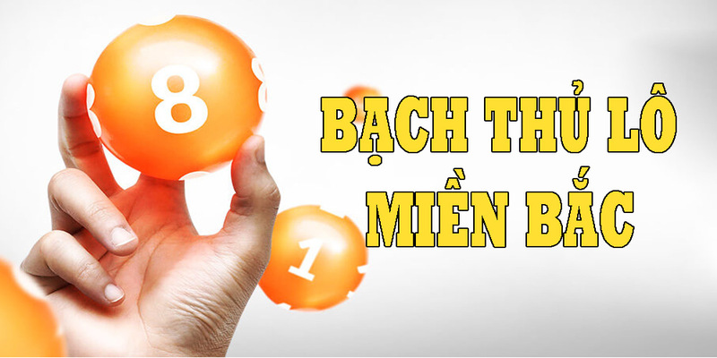 Tìm hiểu lô bạch thủ miền Bắc