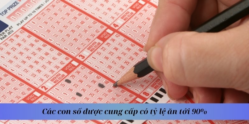 Các con số được cung cấp có tỷ lệ ăn tới 90%