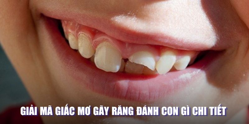 Giải mã giấc mơ gãy răng đánh con gì