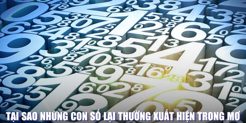 Tại sao những con số lại thường xuất hiện trong mơ